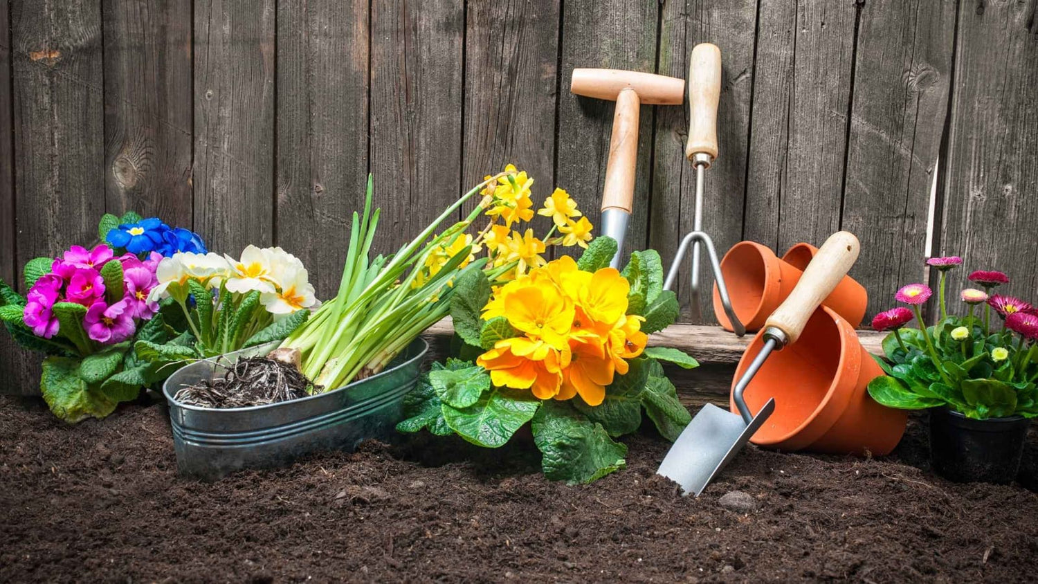 The Blooming Heart of the Garden