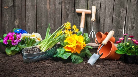 The Blooming Heart of the Garden