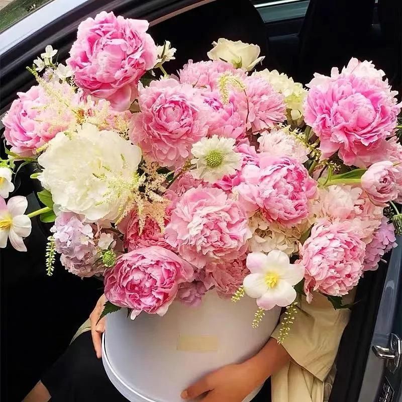 BloomGlory™ Peony Flower Seeds – The Queen of All Garden Beauties