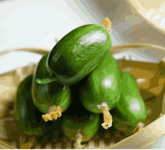 GoldenBloom™ Hybrid Cucumber Seeds – High Yield, Sweet & Nutritious