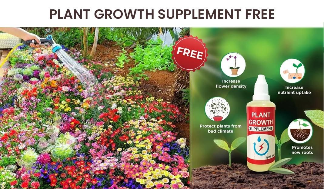 BloomMax™ 100 Varieties Flower Seeds + FREE Plant Growth Booster – Transform Your Garden Instantly