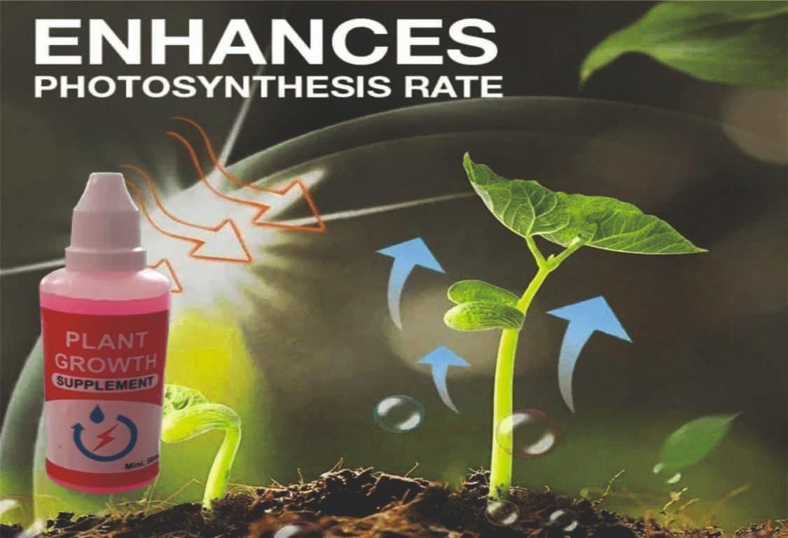 GrowMax™ Plant Growth Enhancer – Organic & Powerful Growth Booster (Pack of 2)