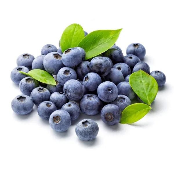 GiantBlue™ Blueberry Fruit Seeds – Grow Lush, Juicy Blueberries at Home
