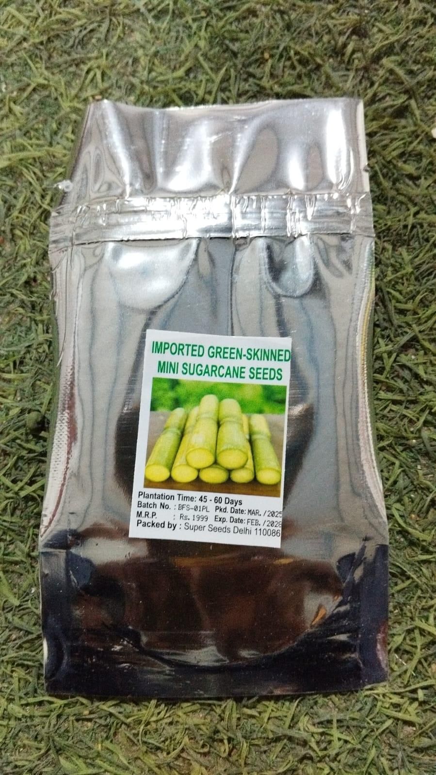 GrowFresh™ Green-Skinned Mini Sugarcane Seeds – Fast-Growing, Sweet & Juicy Variety