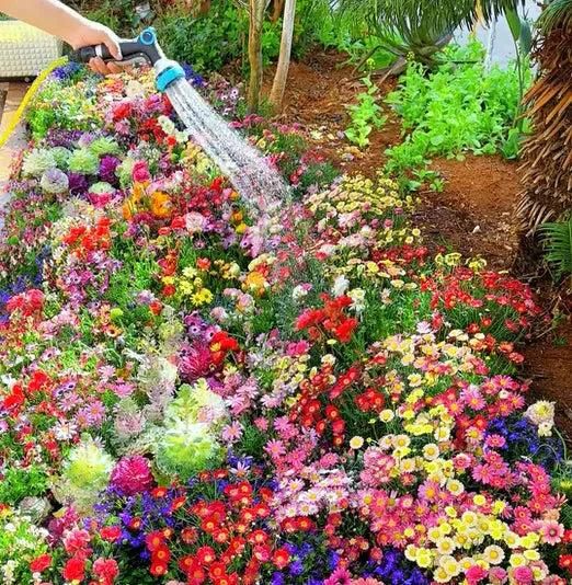 BloomMax™ 100 Varieties Flower Seeds + FREE Plant Growth Booster – Transform Your Garden Instantly