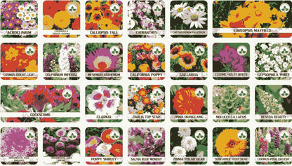 BloomMax™ 100 Varieties Flower Seeds + FREE Plant Growth Booster – Transform Your Garden Instantly