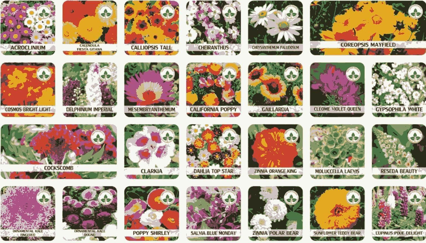 BloomMax™ 100 Varieties Flower Seeds + FREE Plant Growth Booster – Transform Your Garden Instantly