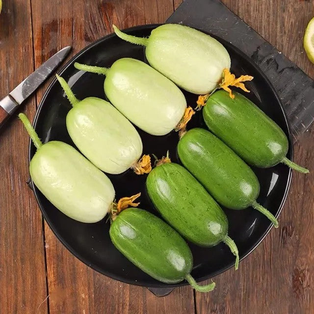 GoldenBloom™ Hybrid Cucumber Seeds – High Yield, Sweet & Nutritious