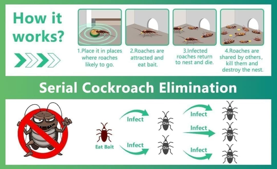 RoachGuard_Premium Cockroach Killer Gel–Advanced Pest Control (Buy 1 Get 1 Free)